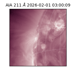 saia - 2026-02-01T03:00:09.637000