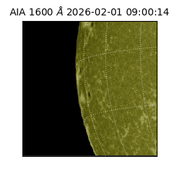 saia - 2026-02-01T09:00:14.130000