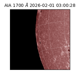 saia - 2026-02-01T03:00:28.721000