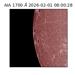 saia - 2026-02-01T08:00:28.710000