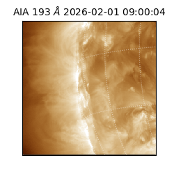 saia - 2026-02-01T09:00:04.843000