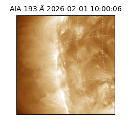 saia - 2026-02-01T10:00:06.939000