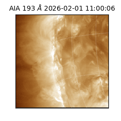 saia - 2026-02-01T11:00:06.614000