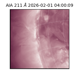 saia - 2026-02-01T04:00:09.633000