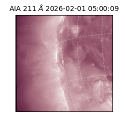 saia - 2026-02-01T05:00:09.630000