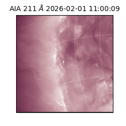 saia - 2026-02-01T11:00:09.632000