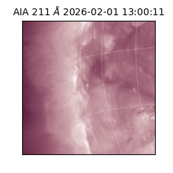 saia - 2026-02-01T13:00:11.615000