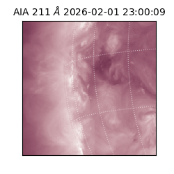 saia - 2026-02-01T23:00:09.633000