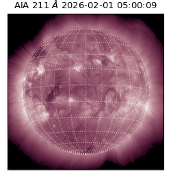 saia - 2026-02-01T05:00:09.630000