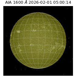 saia - 2026-02-01T05:00:14.125000