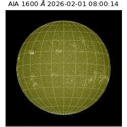 saia - 2026-02-01T08:00:14.118000