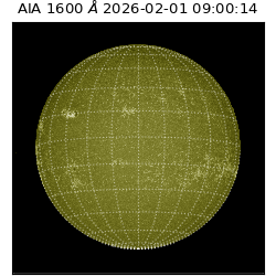saia - 2026-02-01T09:00:14.130000