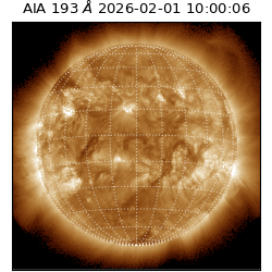 saia - 2026-02-01T10:00:06.939000