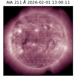 saia - 2026-02-01T13:00:11.615000