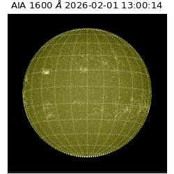 saia - 2026-02-01T13:00:14.126000