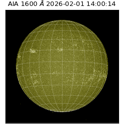 saia - 2026-02-01T14:00:14.126000