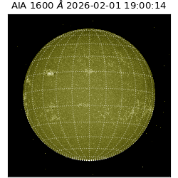 saia - 2026-02-01T19:00:14.126000