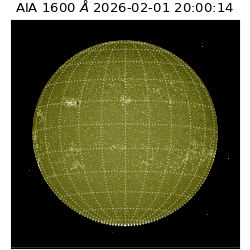 saia - 2026-02-01T20:00:14.133000