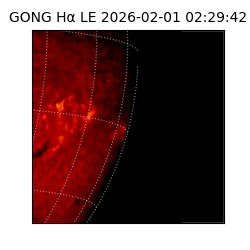 gong - 2026-02-01T02:29:42