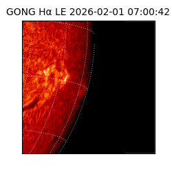 gong - 2026-02-01T07:00:42