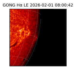gong - 2026-02-01T08:00:42