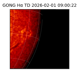 gong - 2026-02-01T09:00:22