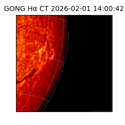 gong - 2026-02-01T14:00:42
