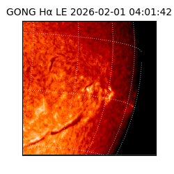gong - 2026-02-01T04:01:42