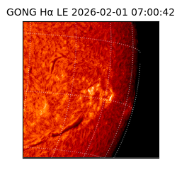 gong - 2026-02-01T07:00:42