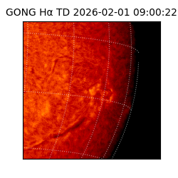 gong - 2026-02-01T09:00:22