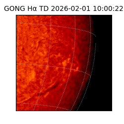 gong - 2026-02-01T10:00:22
