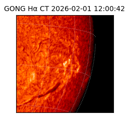 gong - 2026-02-01T12:00:42