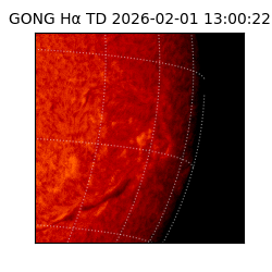 gong - 2026-02-01T13:00:22