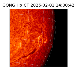 gong - 2026-02-01T14:00:42