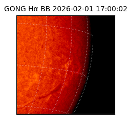 gong - 2026-02-01T17:00:02