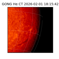 gong - 2026-02-01T18:15:42