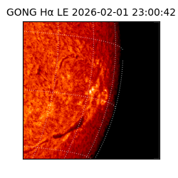 gong - 2026-02-01T23:00:42