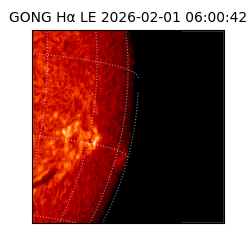 gong - 2026-02-01T06:00:42