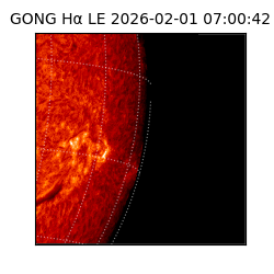 gong - 2026-02-01T07:00:42