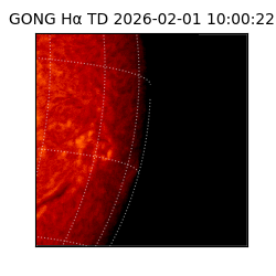 gong - 2026-02-01T10:00:22