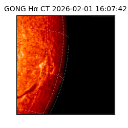 gong - 2026-02-01T16:07:42