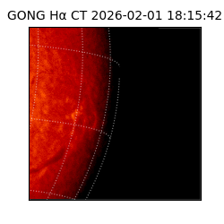 gong - 2026-02-01T18:15:42