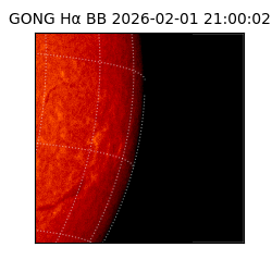 gong - 2026-02-01T21:00:02