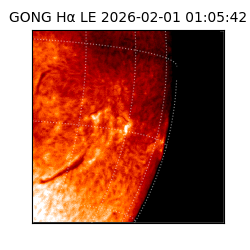 gong - 2026-02-01T01:05:42