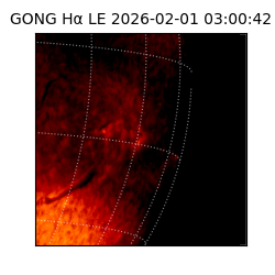 gong - 2026-02-01T03:00:42
