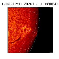 gong - 2026-02-01T08:00:42