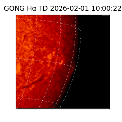 gong - 2026-02-01T10:00:22