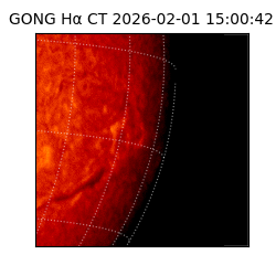 gong - 2026-02-01T15:00:42