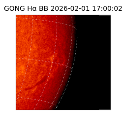 gong - 2026-02-01T17:00:02