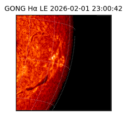 gong - 2026-02-01T23:00:42